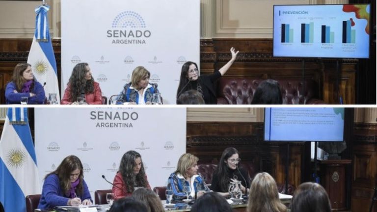 Senado 20230907