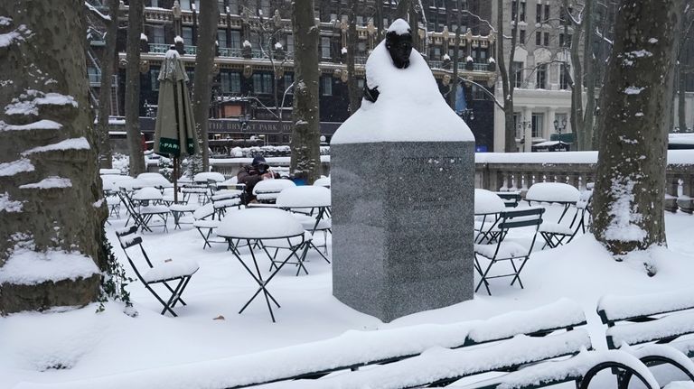 NEVADA2020nuevaYork