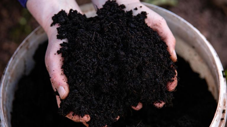 Nueva York autoriza el compostaje de cadáveres humanos