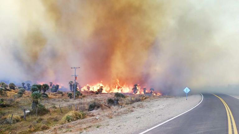 incendios forestales cordoba 