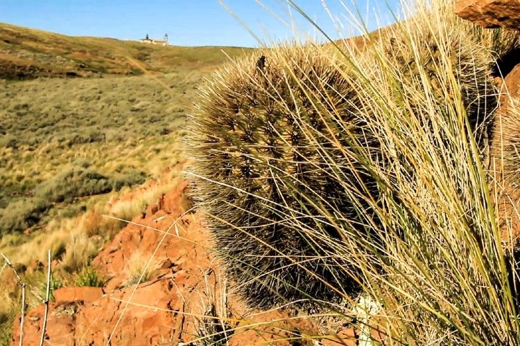 Patagonia Azul