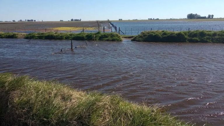 Inundaciones en Buenos Aires 08112025