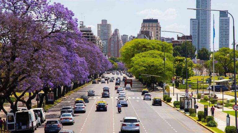 Jacarandá 2021
