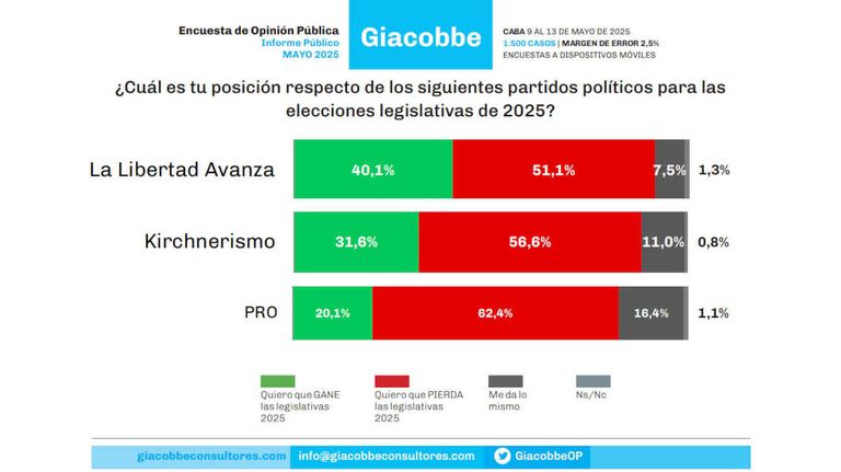 Informe Público Ciudad de Buenos Aires 20250515