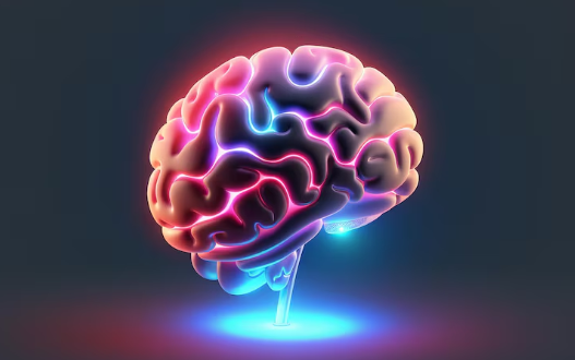 cerebro 