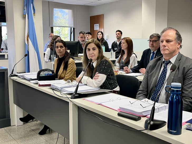 La acusación está a cargo de los fiscales de Cámara Laura Battistelli y Marcelo Sicardi, y la fiscal instructora Silvana Fernández.