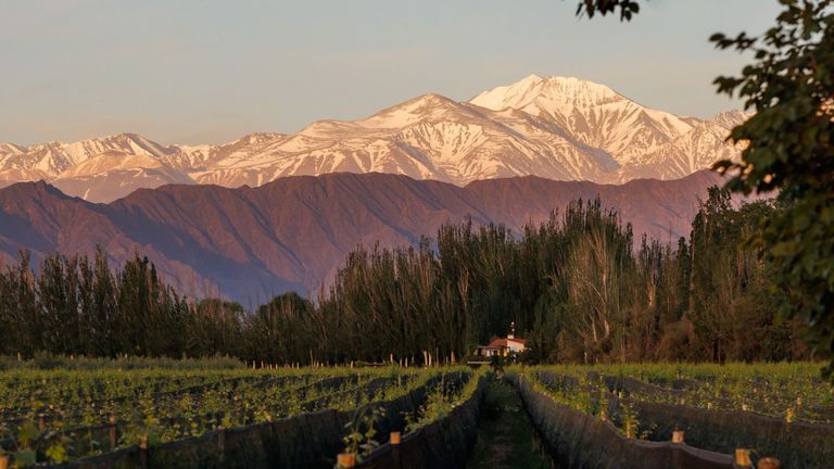 Finca Bandini sobre la cordillera de Los Andes