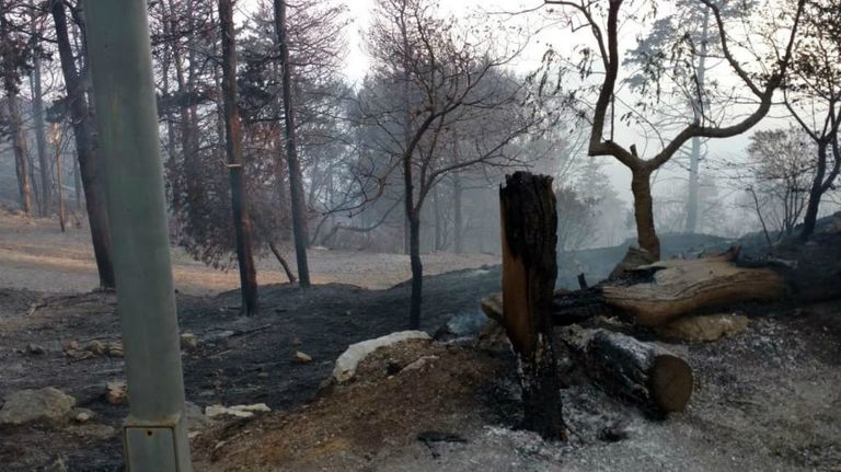 Incendios sin control en Córdoba.