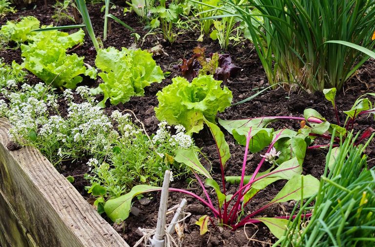la jardinería