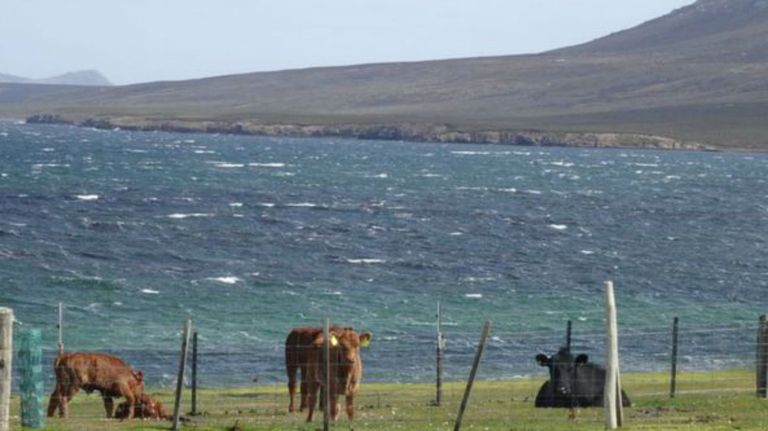 familia gales islas malvinas g2 12142018