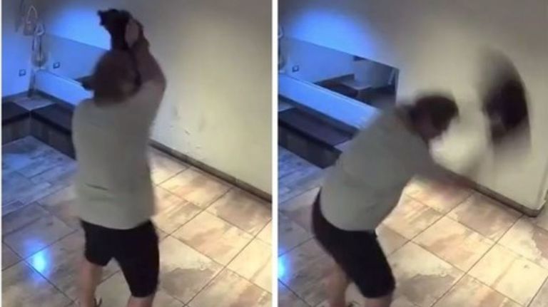 La violenta secuencia del hombre que tiró al piso brutalmente a un perro