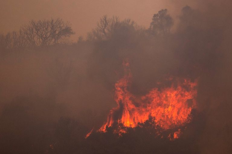 Incendios forestales causados por el calor en Francia