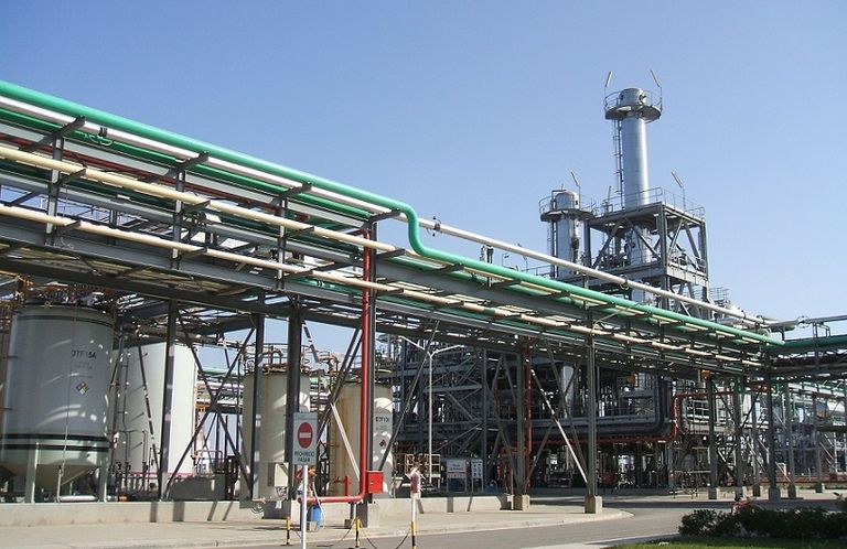 También se estima que el sector de biodiesel tendrá menores exportaciones en 2019.