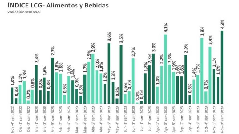 Grafico 20231124