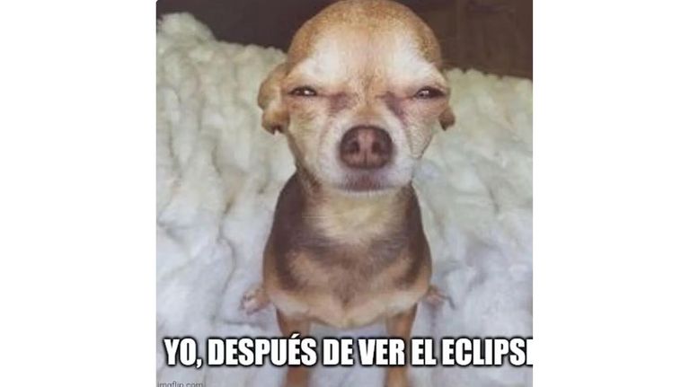 Memes Eclipse Solar 2024
