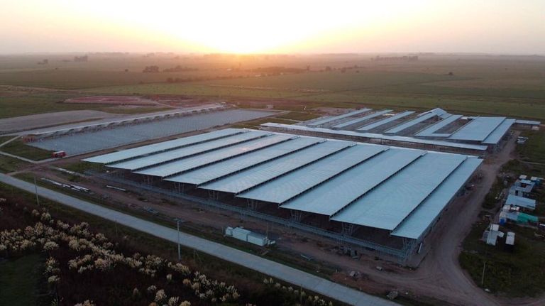 Mercado Agro Ganadero Cañuelas