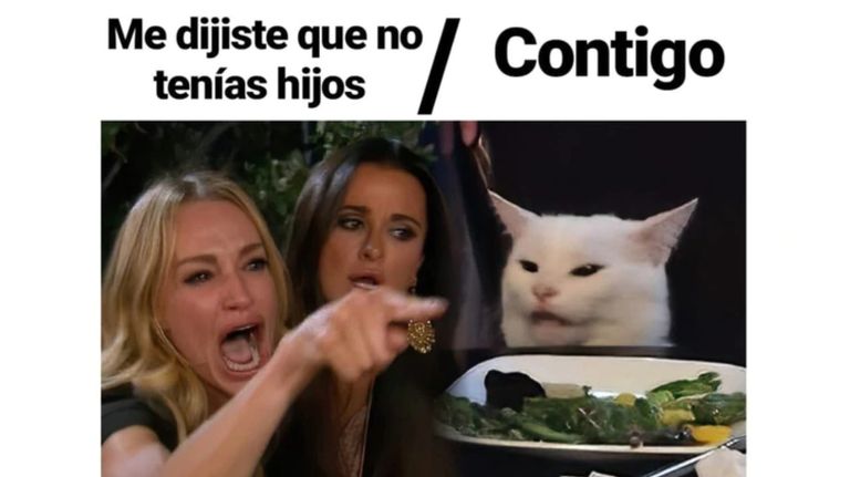 meme gato 6 08302019