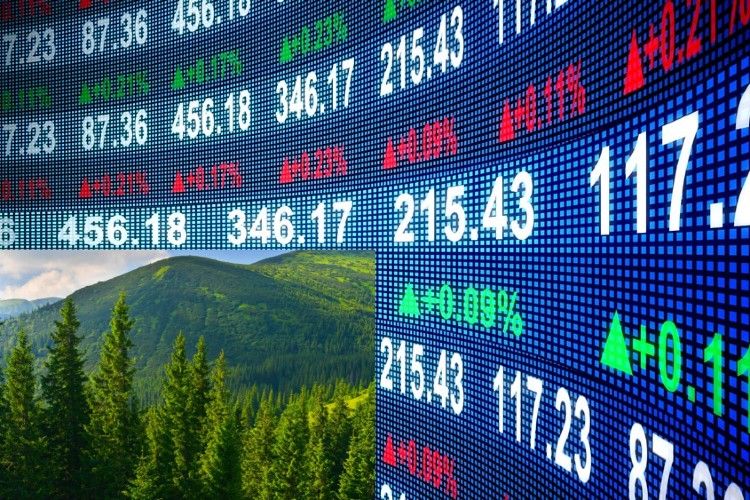 Finanzas sostenibles