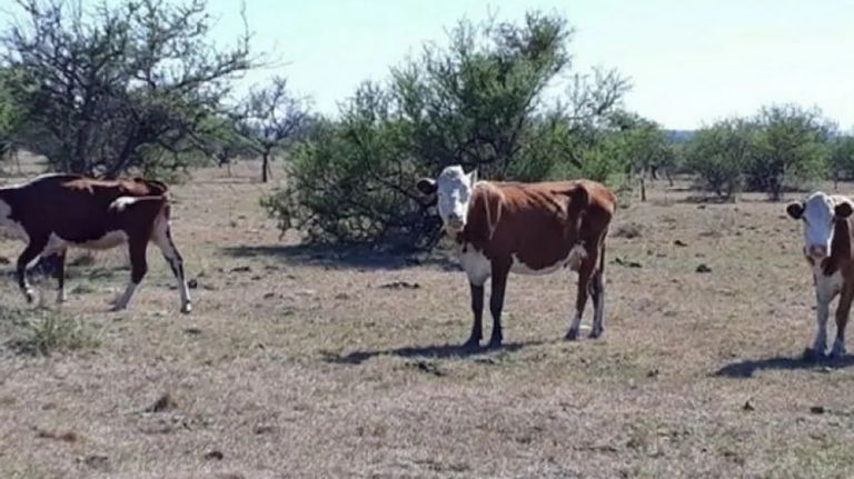 2911_sequía Corrientes