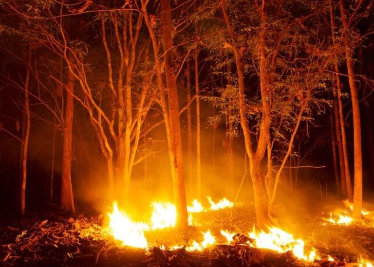Fuego al aire libre