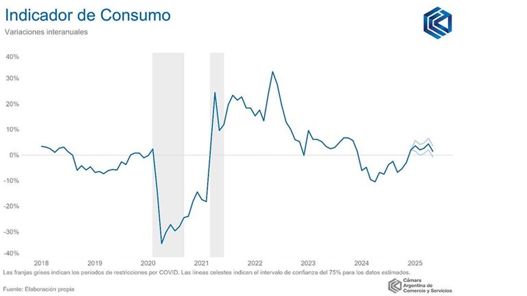 Consumo en hogares20250624