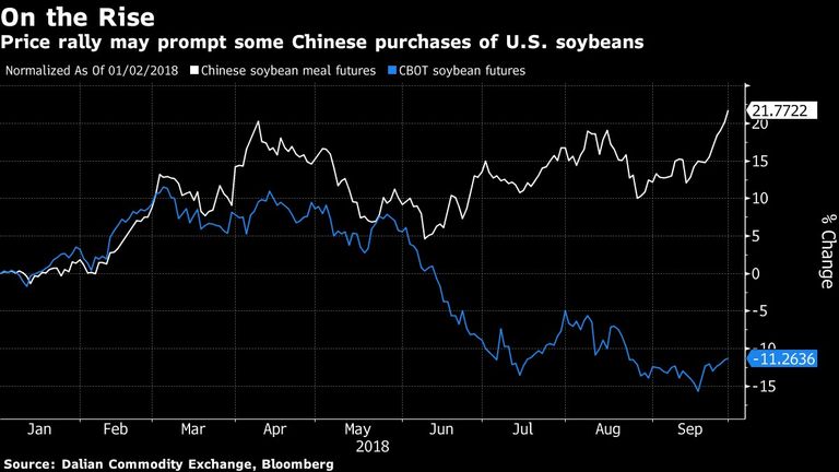 Price rally may prompt some Chinese purchases of U.S. soybeans