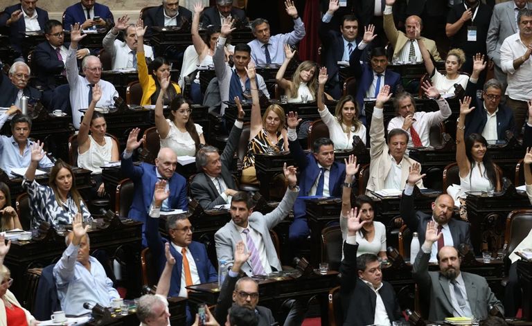 Se aprobó la Ley de Bases en la Cámara de Diputados 20240430