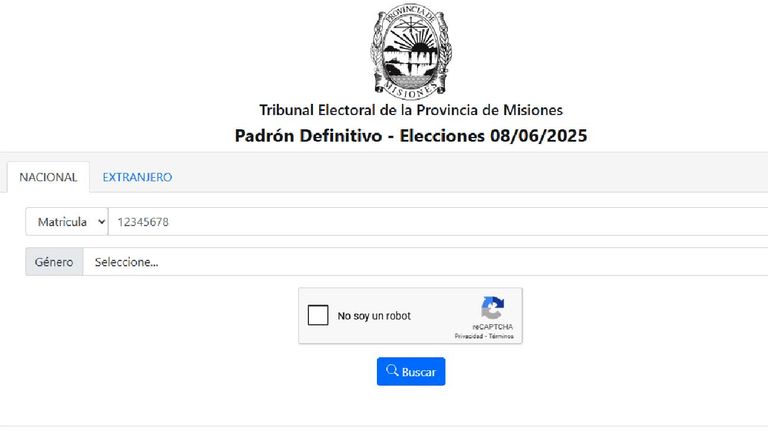 Elecciones Misiones 202520250605