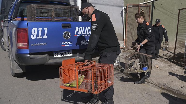 El fundador de la banda narcocriminal