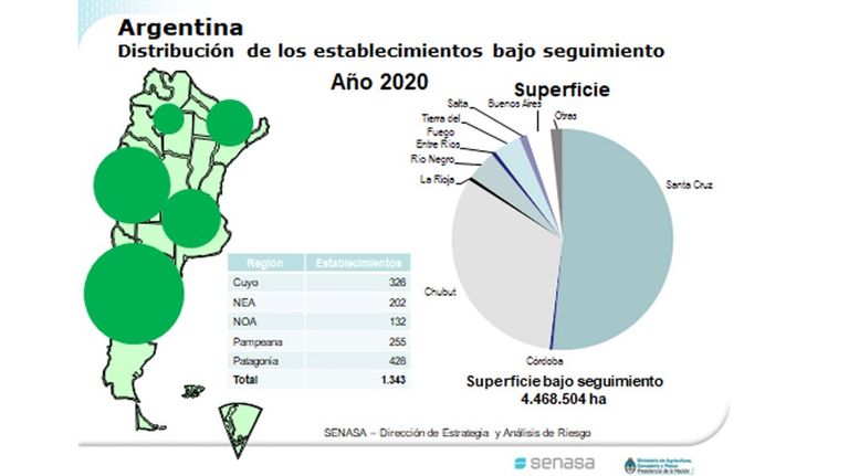 Peroducción orgánica