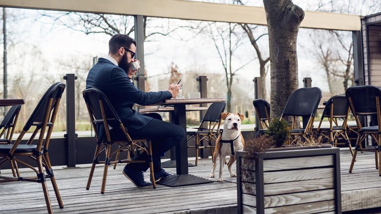 Restaurantes pet friendly en CABA 20221011