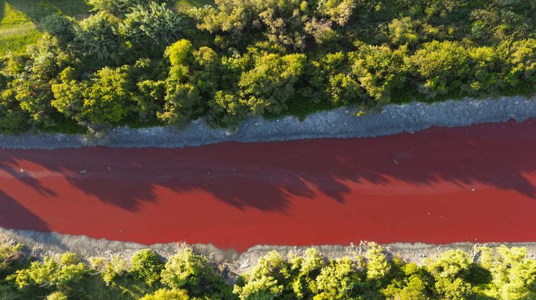 Arroyo Sarandí se tiñó de rojo 20250207