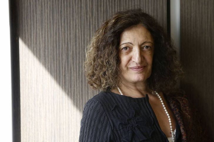 Ana Falú