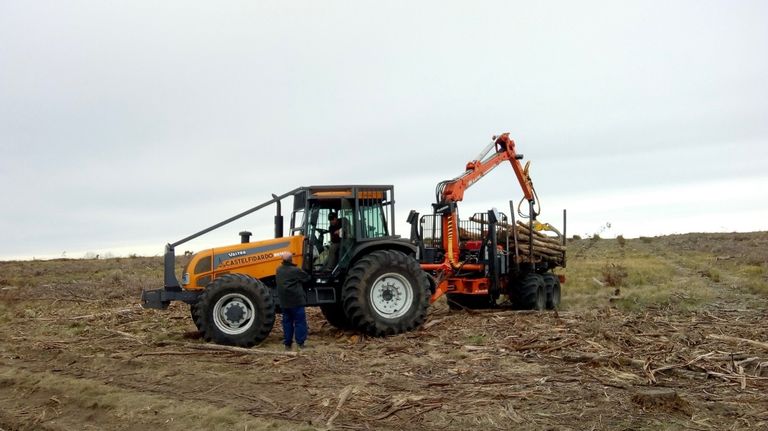 Capacitación de personal en el campo
