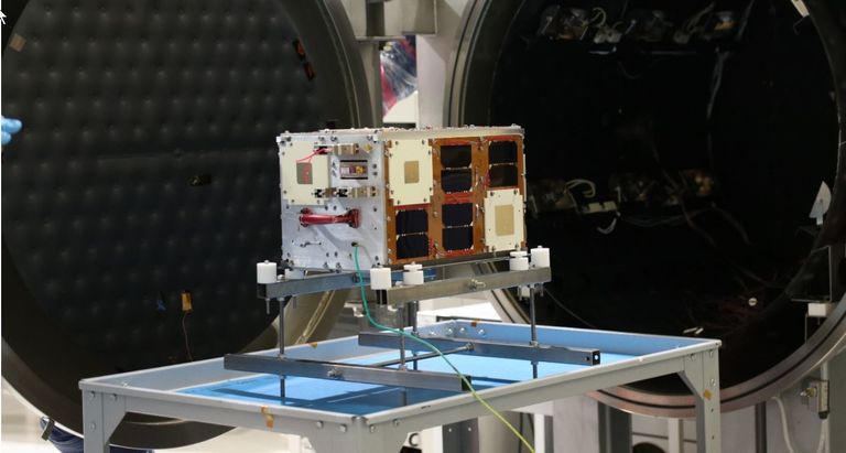 Atenea_microsatélite