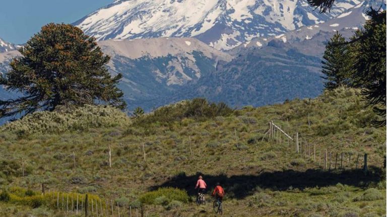 Parque Nacional Lanín