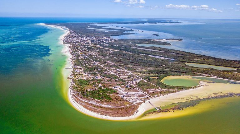 Holbox 20220112