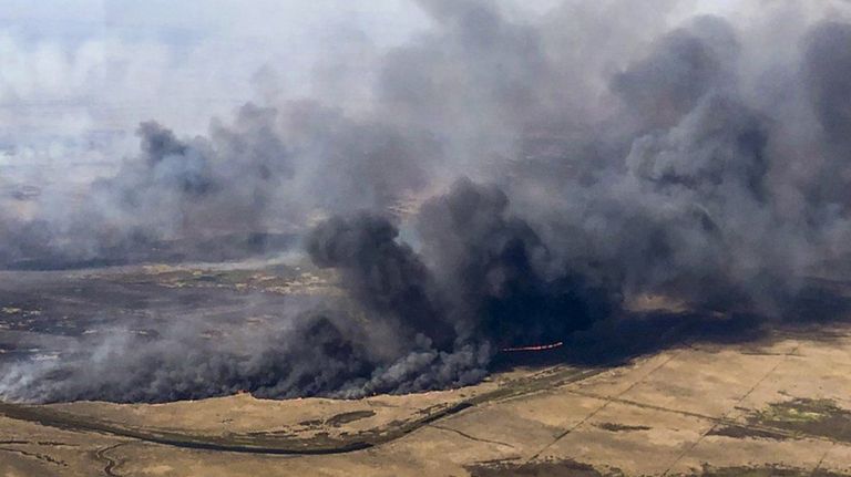 Incendios Delta Parána