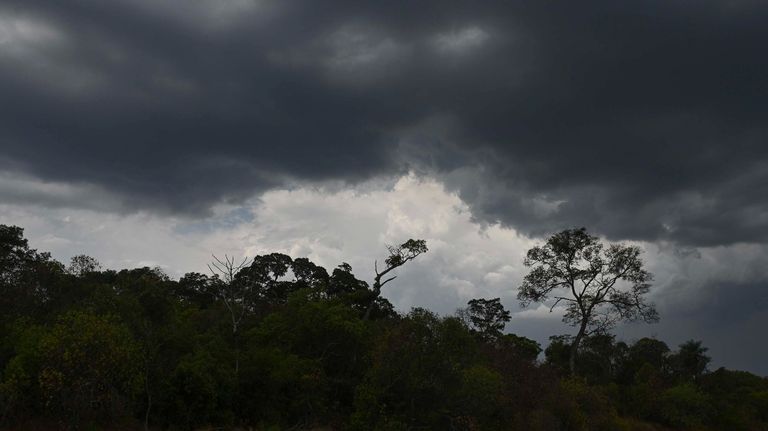 lluvia incendios corrientes g_20220225