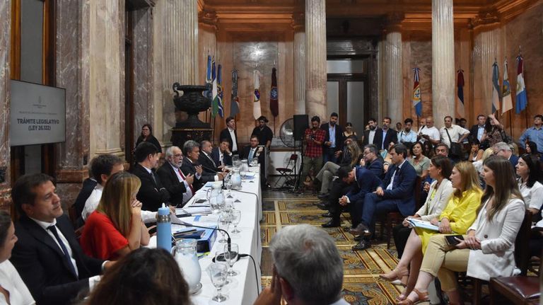 Reunión bicameral en el Senado por el tema DNU