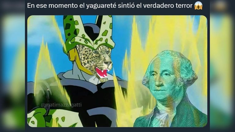 Mensajes y memes por el Dólar Blue
