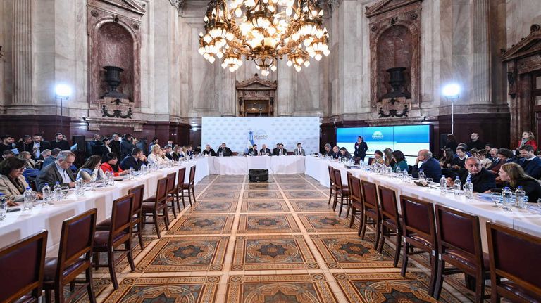 Senado Argentina Tweet 20240513