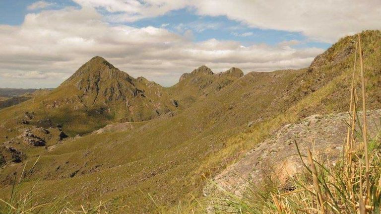 La Carolina