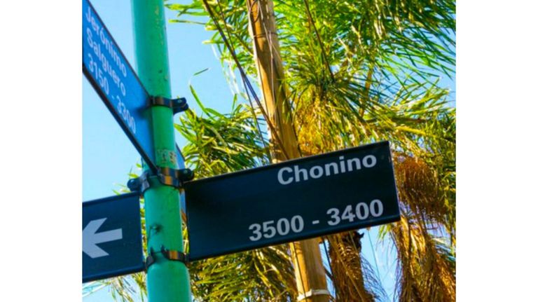 chonino