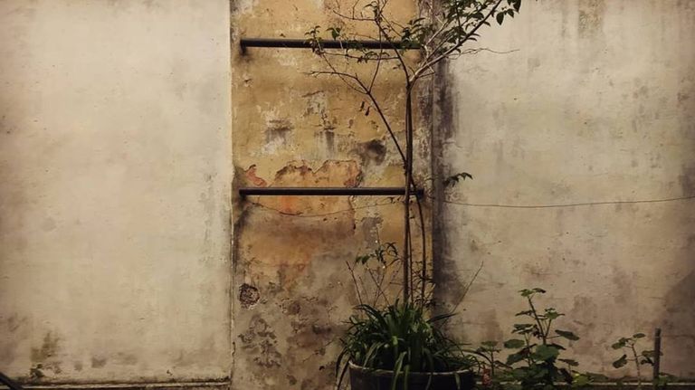 san telmo 05312019