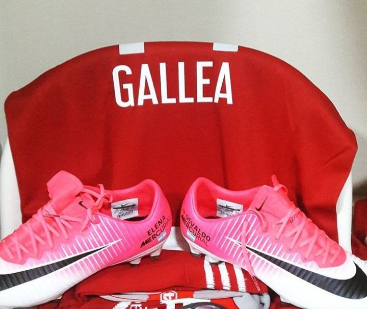 Cami Gallea