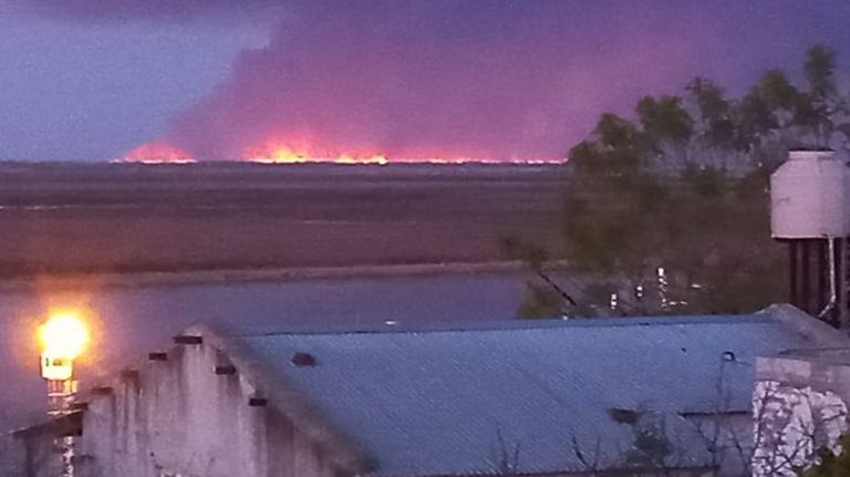 Incendios Delta Parána