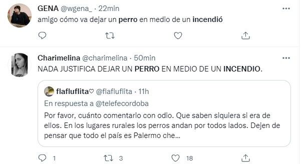 tuit perro 20211007