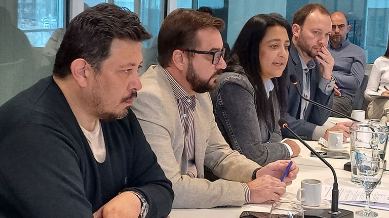 Soher el Sukaría en la comisión de legales por Ficha Limpia