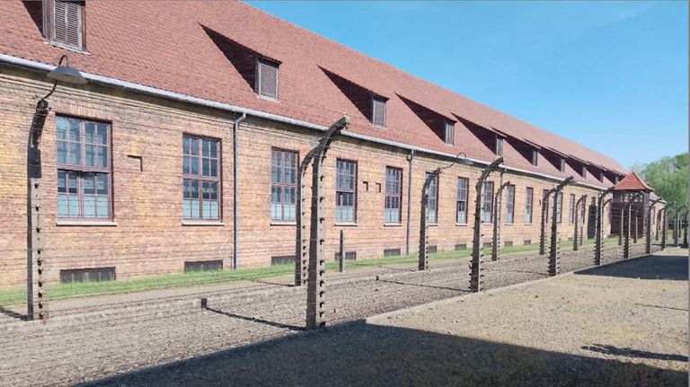 Auschwitz-Birkenau: de qué estamos hablando cuando hablamos de horror.